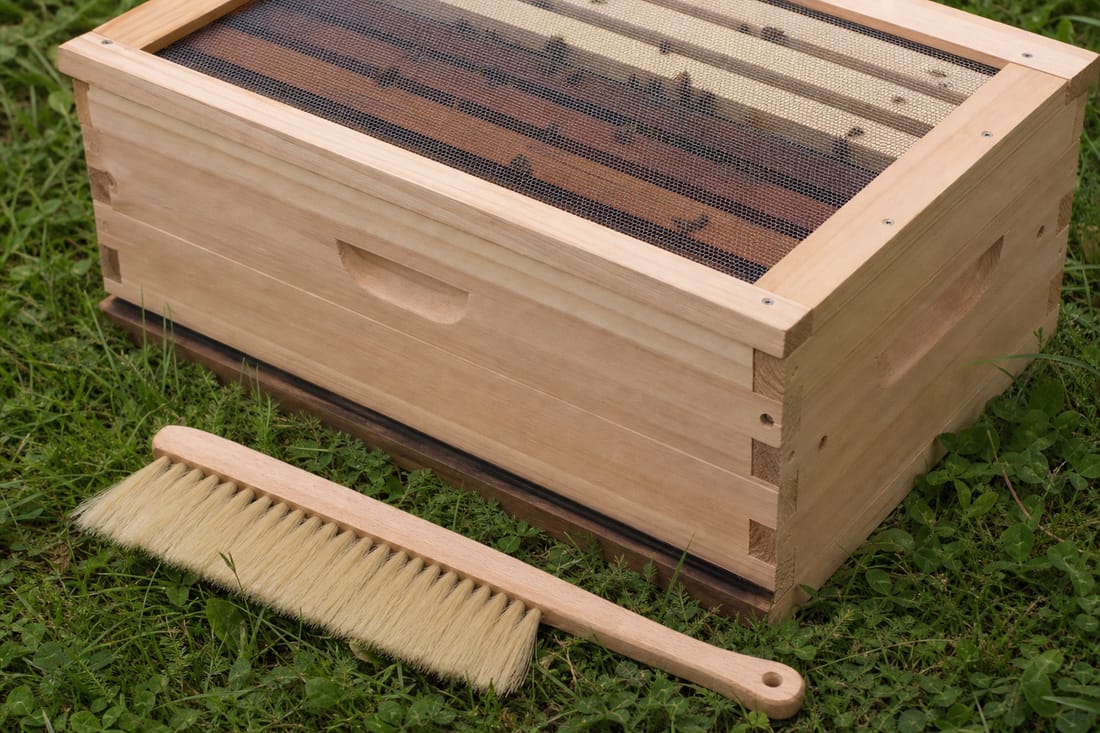 Exemple : matériel professionnel de relocation d'abeilles