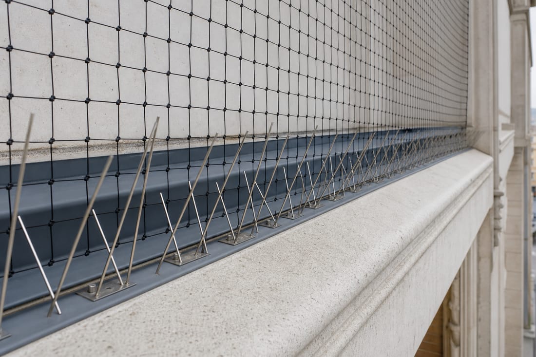 Exemple : filet et picots anti-pigeons sur une corniche